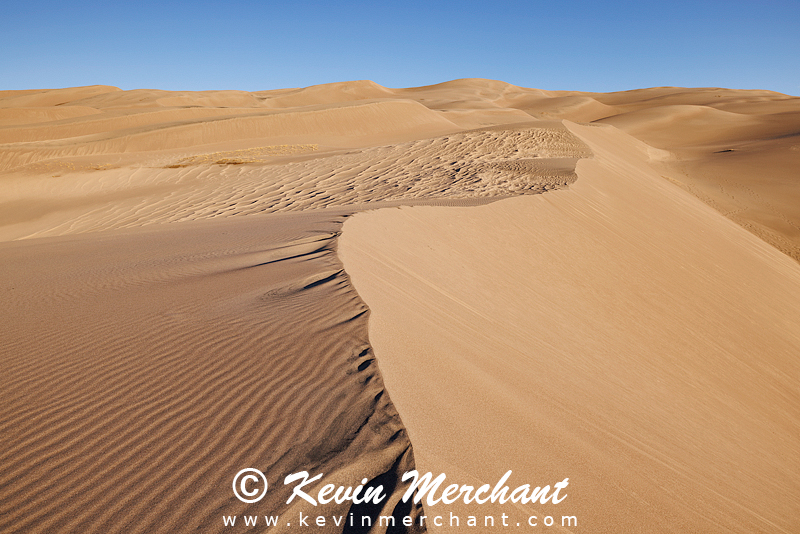 NP_041824_R5-62.jpg