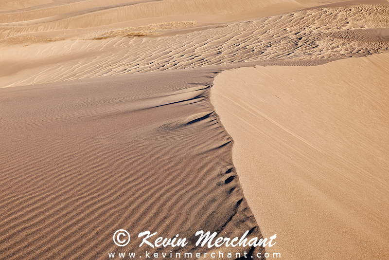 NP_041824_R5-73-FOCUS.jpg