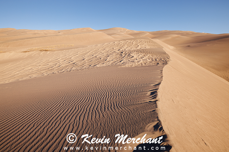 NP_041824_R5-90-FOCUS.jpg