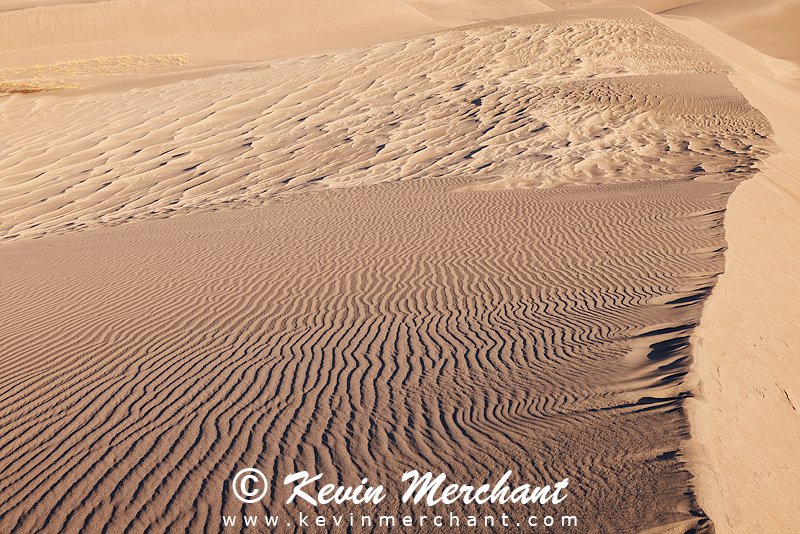NP_041824_R5-101-FOCUS.jpg