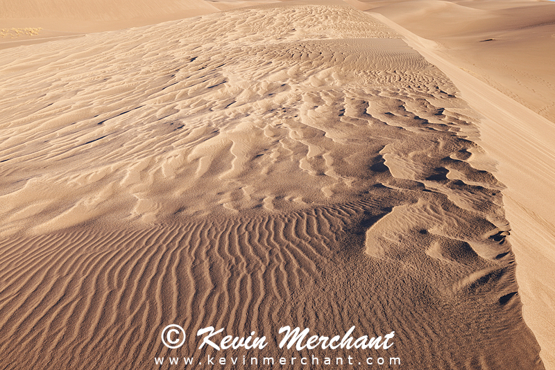 NP_041824_R5-115-FOCUS.jpg