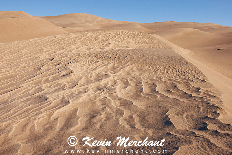 NP_041824_R5-127-FOCUS.jpg