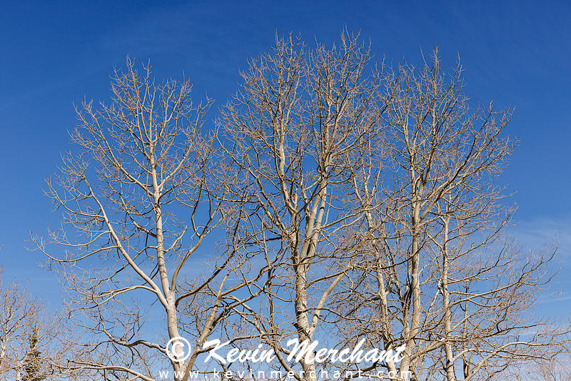 PL_042024_R5-19.jpg