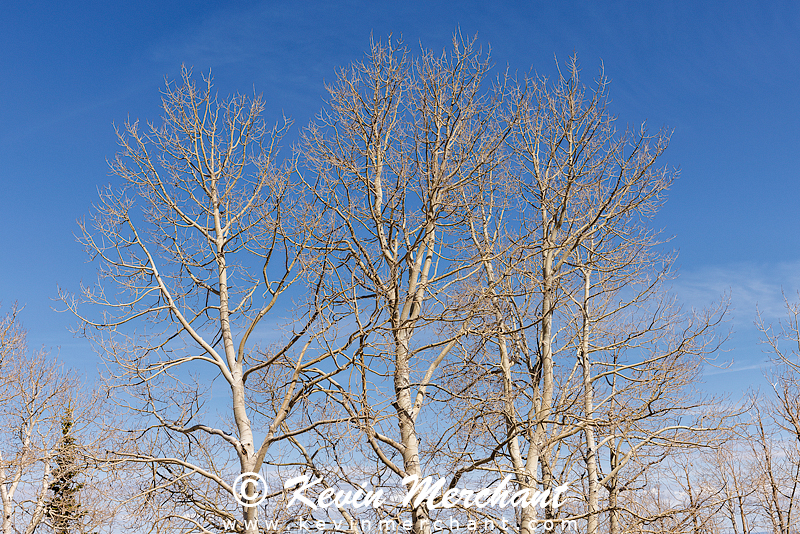 PL_042024_R5-18.jpg