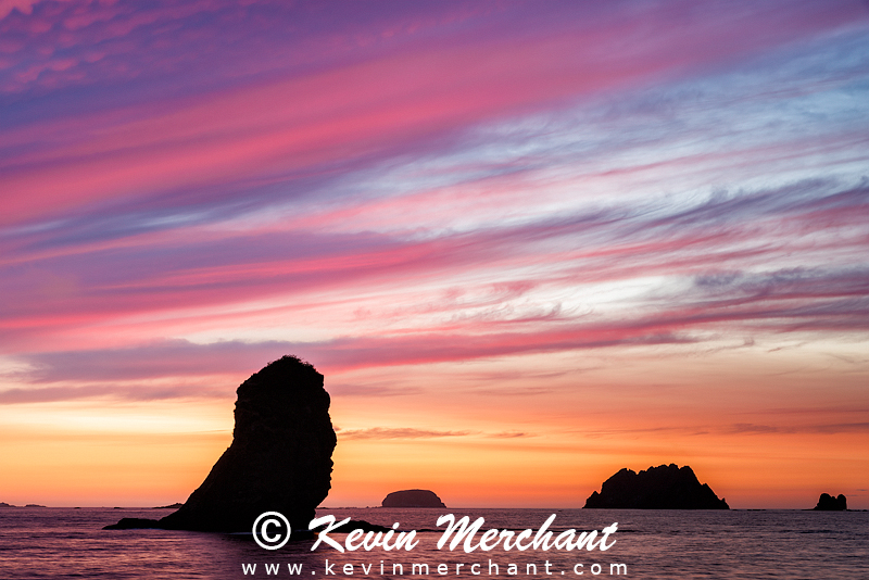 Sunset on the coast in Olympic National Park