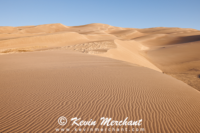 Sand dunes at sunrise